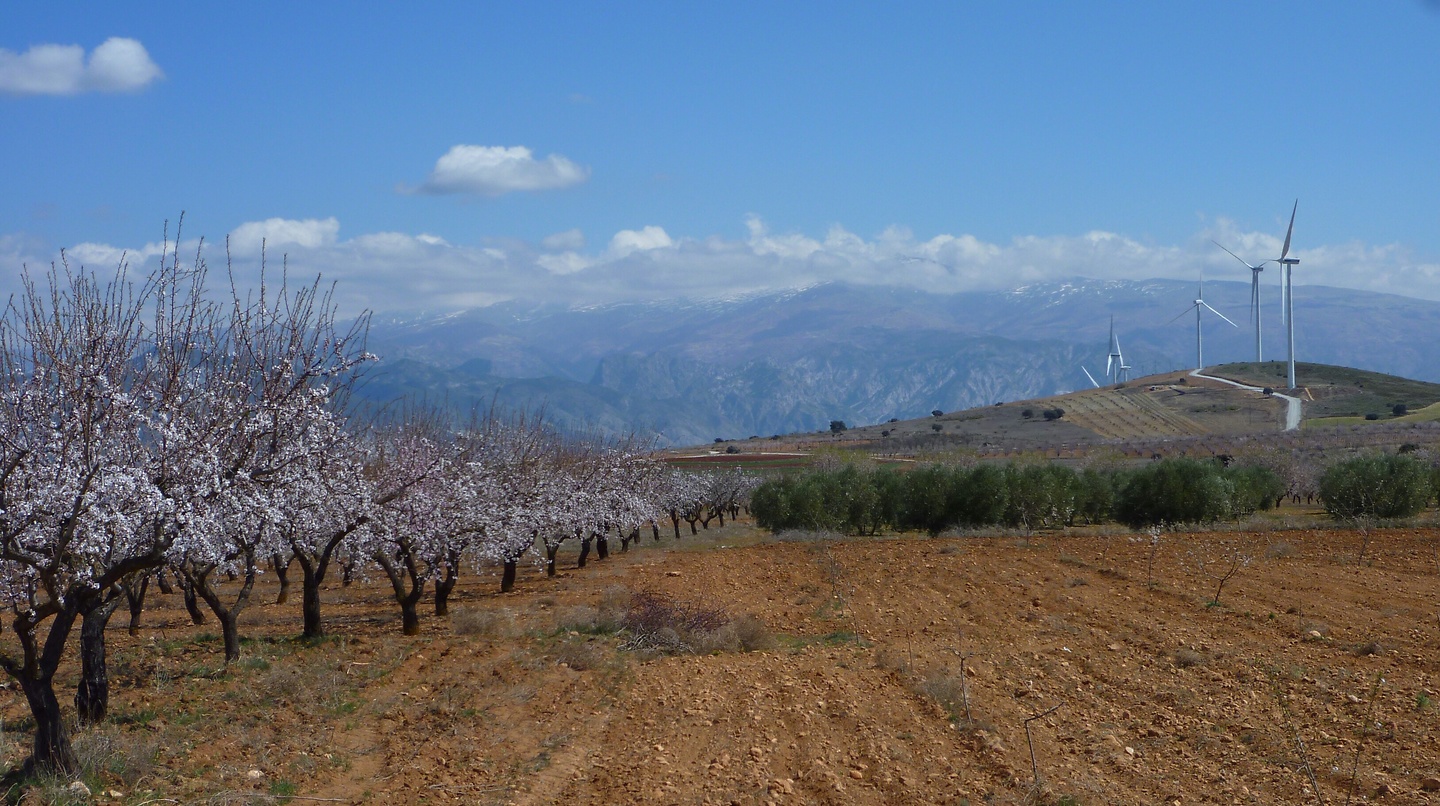 granada-acker.jpg