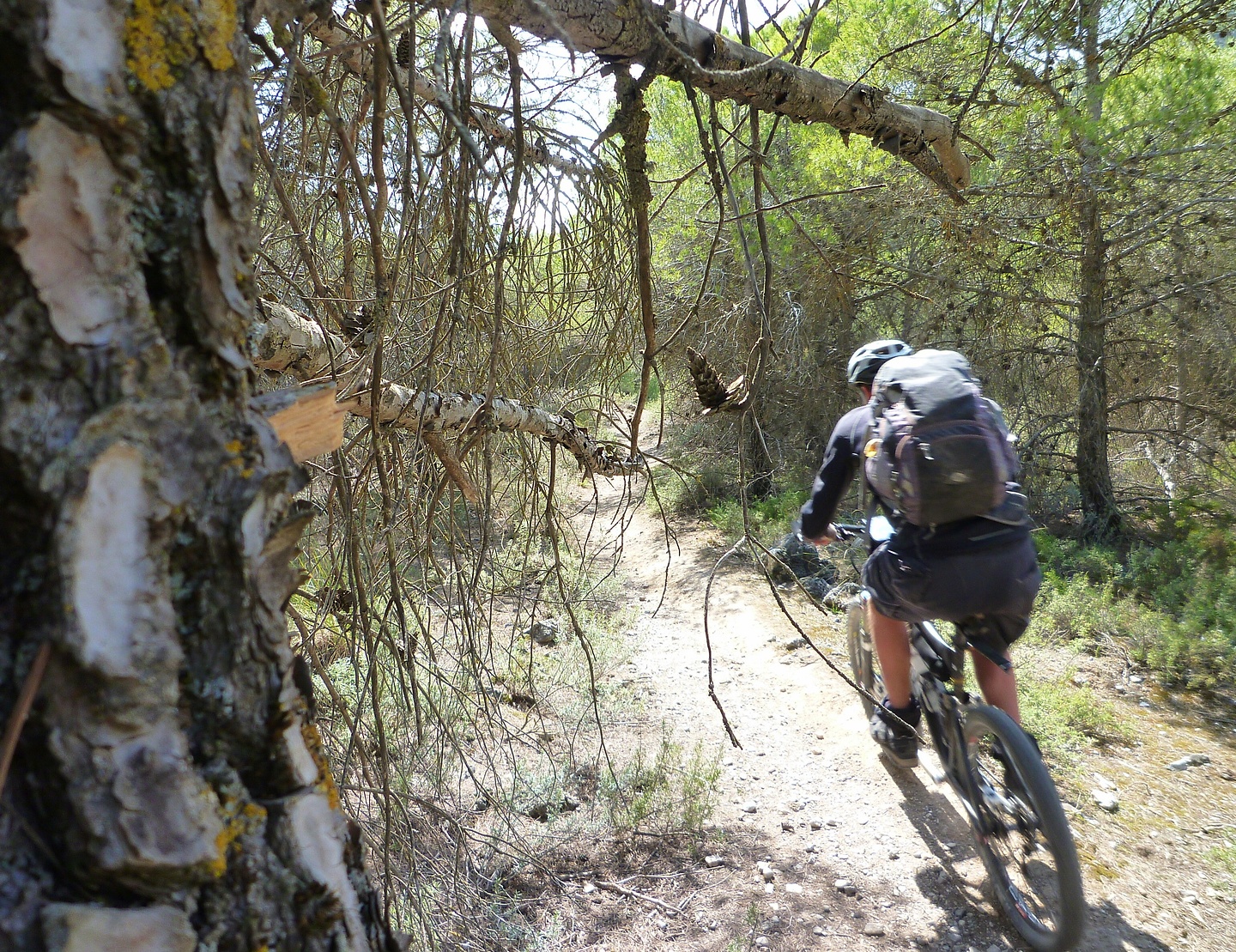 padul-trail2.jpg