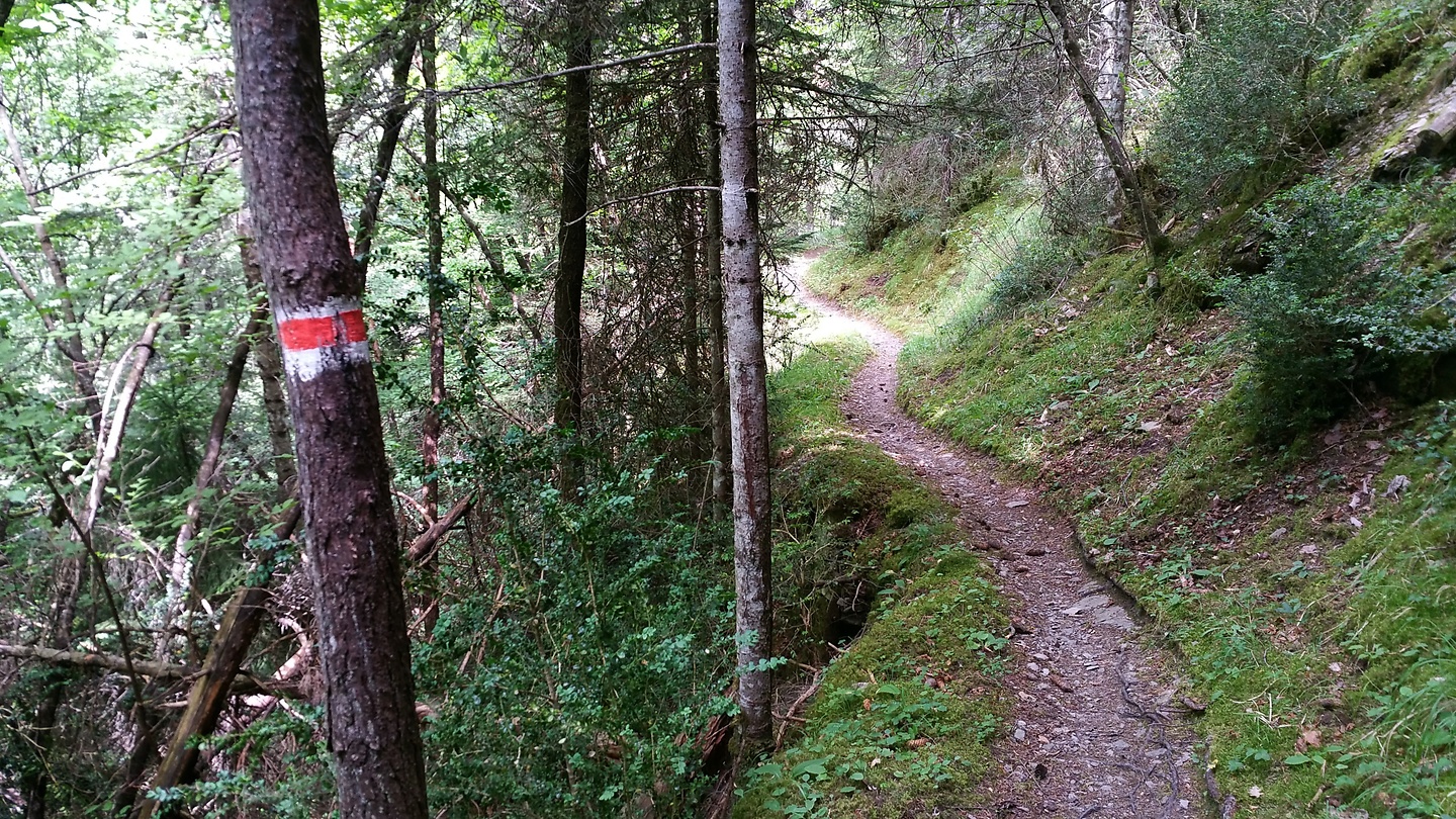 turini-trail1.jpg